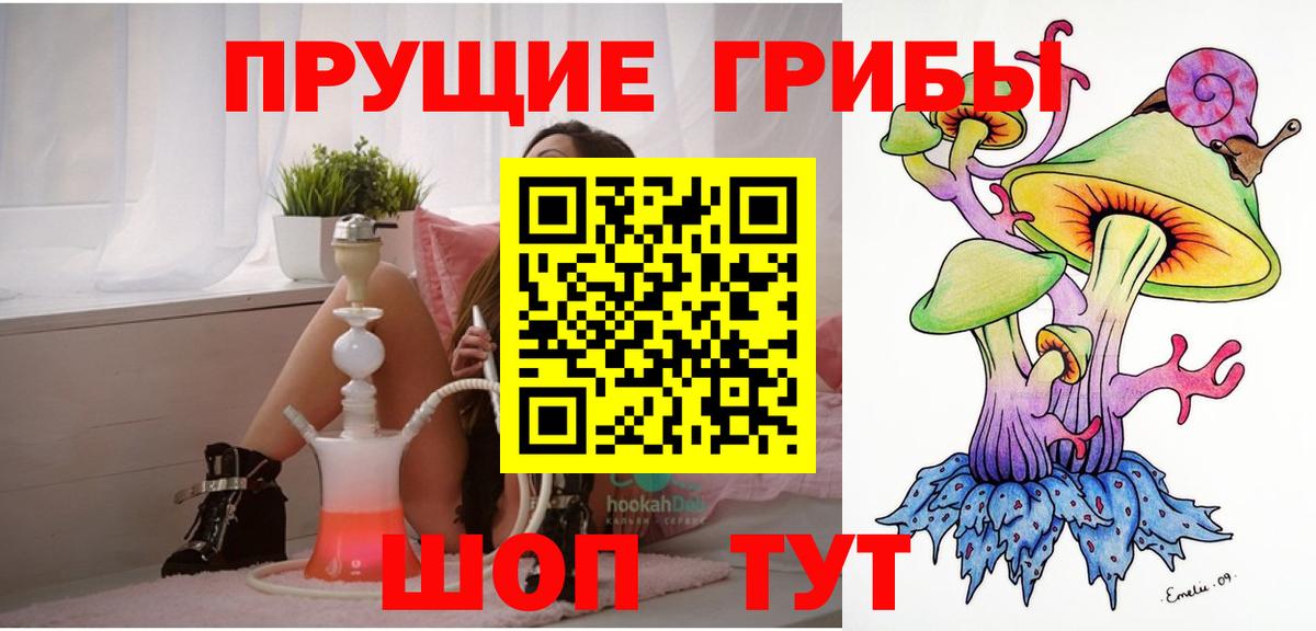 Псилоцибиновые грибы Psilocybe Великий Устюг